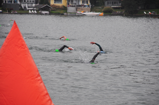 View Start Line in new tab