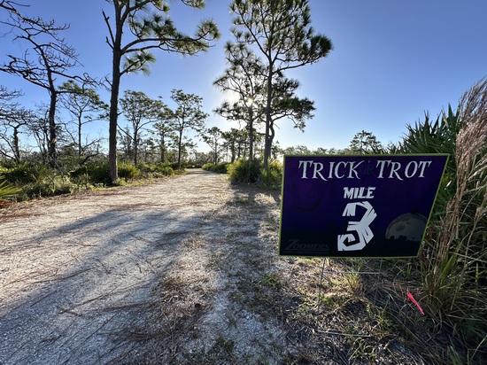 View Race Course Photos in new tab