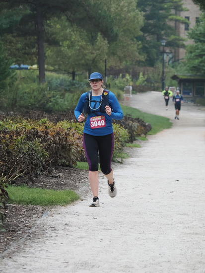 View The Arb in new tab