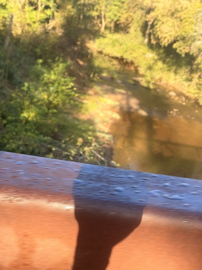 Participant Upload Image