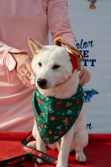 View Awards/Pet Parade in new tab