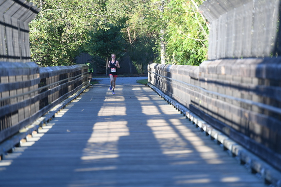 View Bridge in new tab