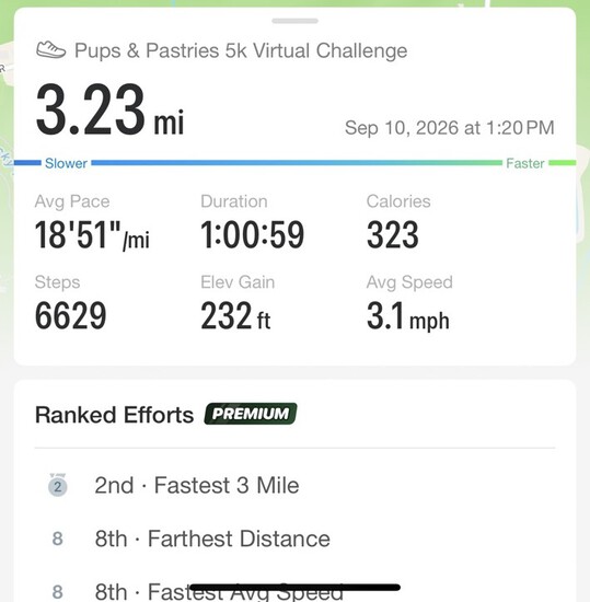 Participant Upload Image