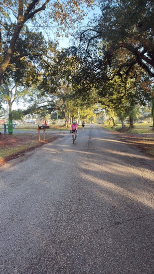 View 2.5 Mile Mark in new tab