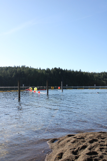 View Swim Sunday in new tab