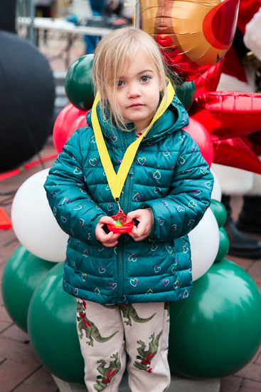 View Reindeer Dash in new tab