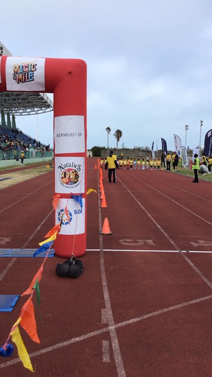 View BTS Photos in new tab