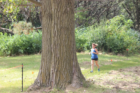View 2025 Arrowhead Obstacle Trail Run - 5k Open Wave (3) in new tab
