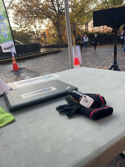 View Stripes in new tab