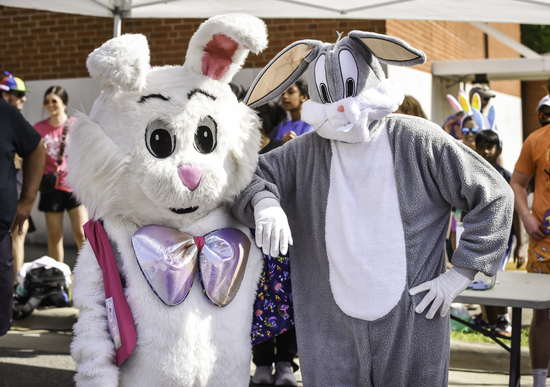 View Bunny Run Festival in new tab