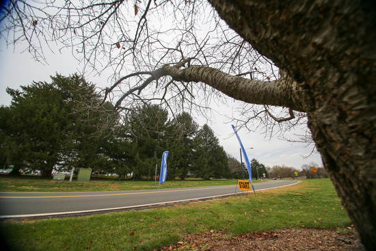 View 2022 Photos in new tab