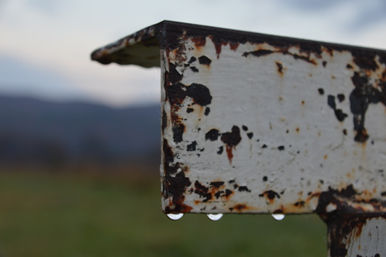 View Hyatt Lane in new tab