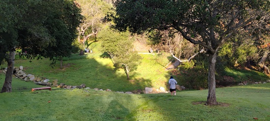 View Kids Run in new tab