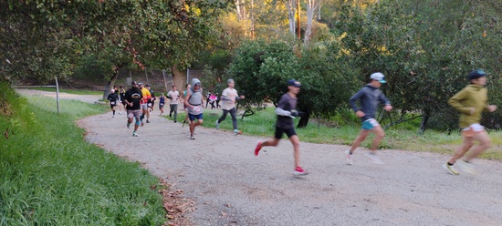 View Start Line in new tab