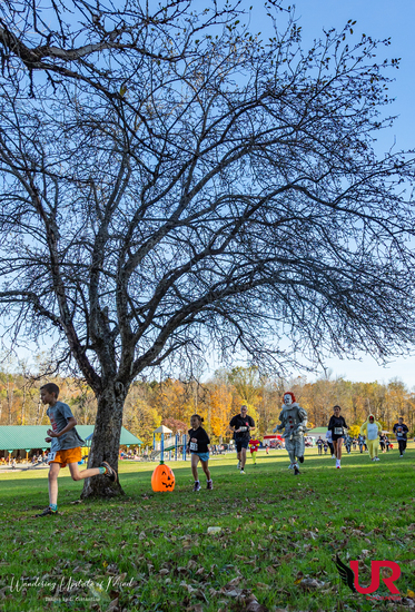 View Race Photos in new tab