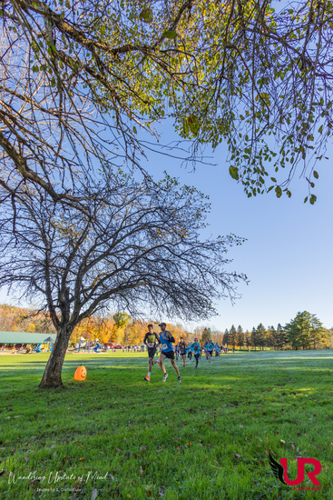View 5k Race in new tab