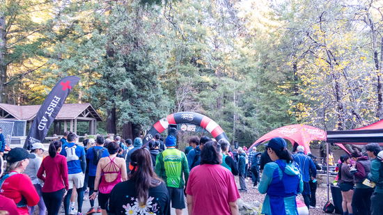 View JM Photos in new tab