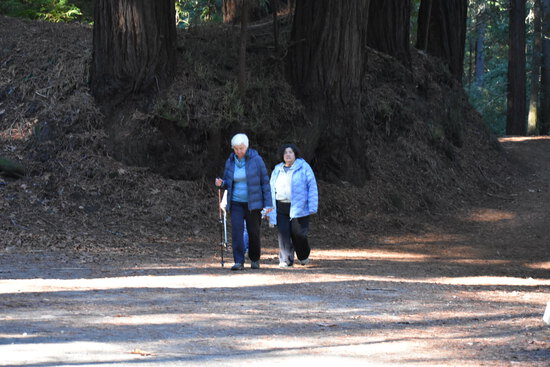 View Start Line in new tab