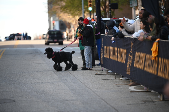 View Finish Line in new tab