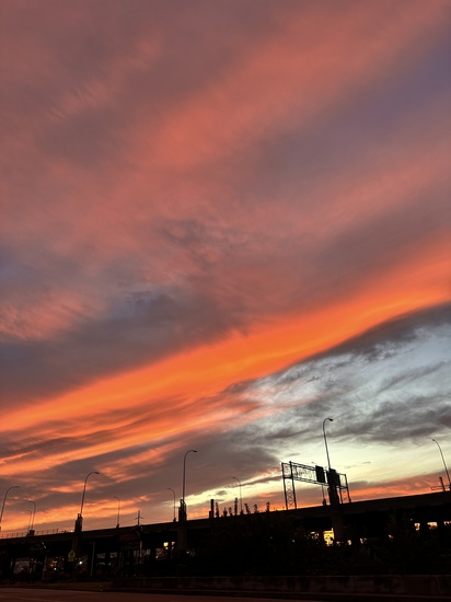 Participant Upload Image