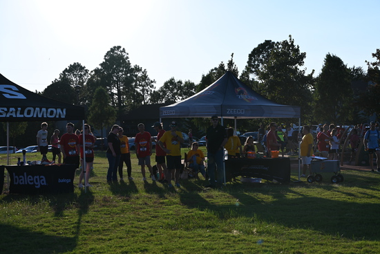 View Start Line in new tab