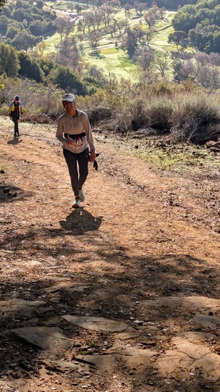 View Ann G Live Oak in new tab