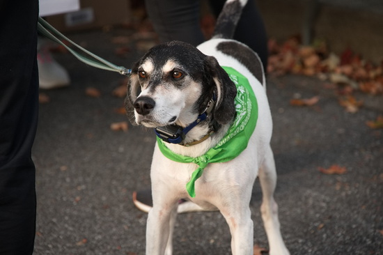 View Vendor Village in new tab