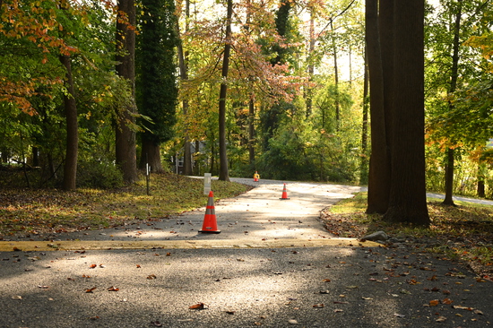 View Race Pictures in new tab