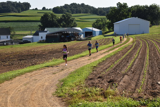 View Kids Fun Run in new tab