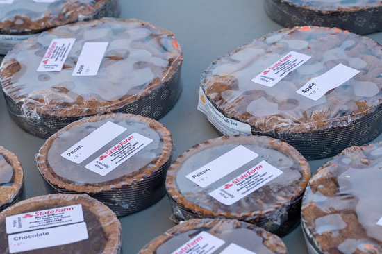 View Rob Cummings Photos in new tab