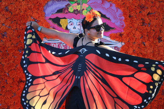 View 2025 - 15th Annual Día de los Muertos: The Start in new tab