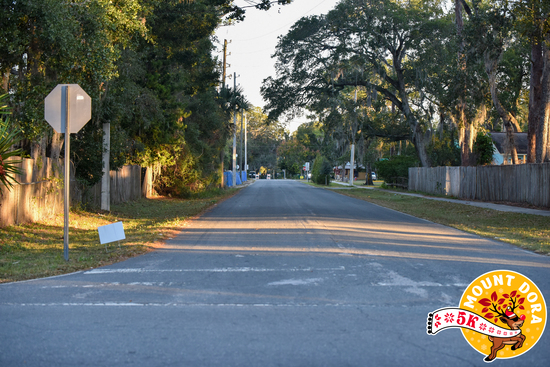 View Mt Dora 5K - Runners On Course in new tab