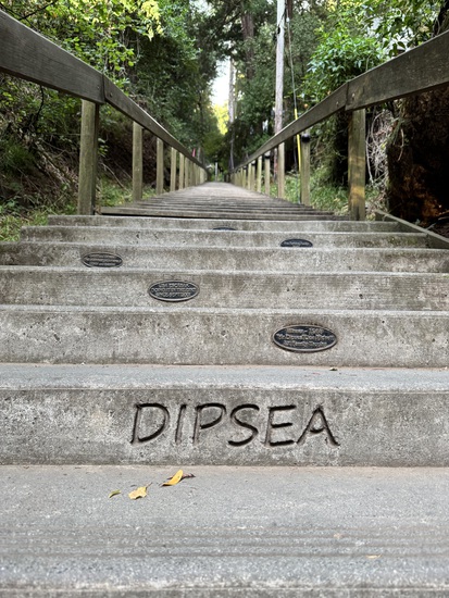 View mill valley stairs up in new tab