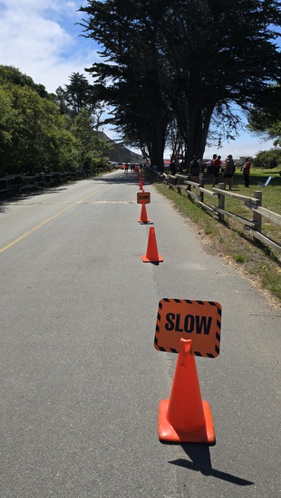 View Start Line in new tab