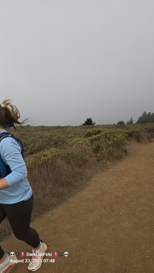 View Jason Lehrbaum - Top of First Hill in new tab