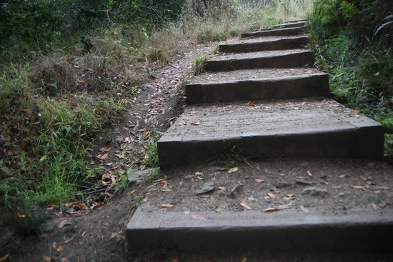 View Jason Lehrbaum - Top of First Hill Pt 02 in new tab