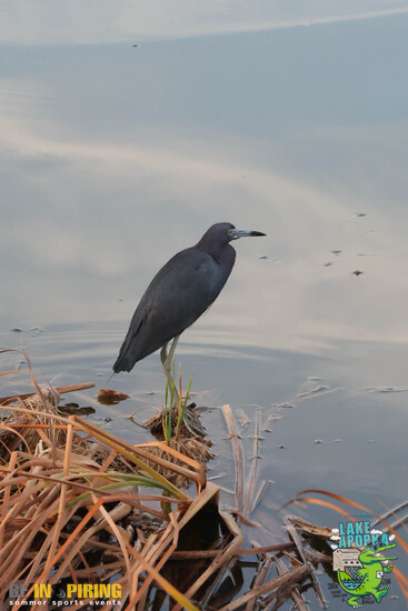 View Candid & Miscellaneous Photos in new tab