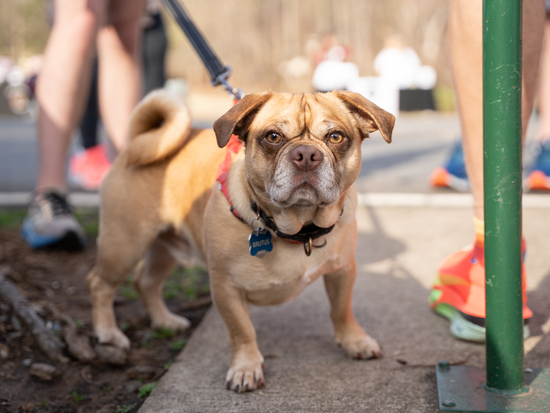 View Candids in new tab