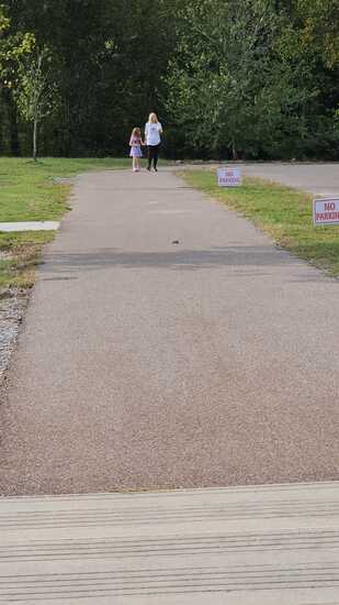 View Random in new tab