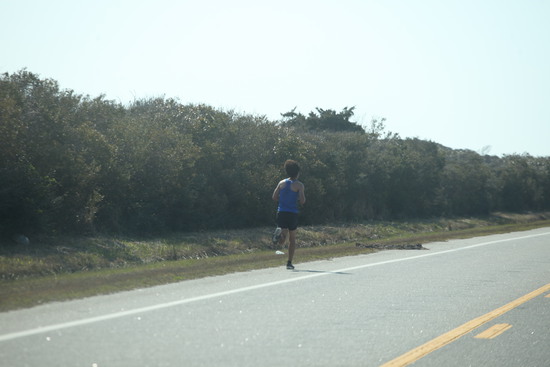 View Course Snapshots in new tab