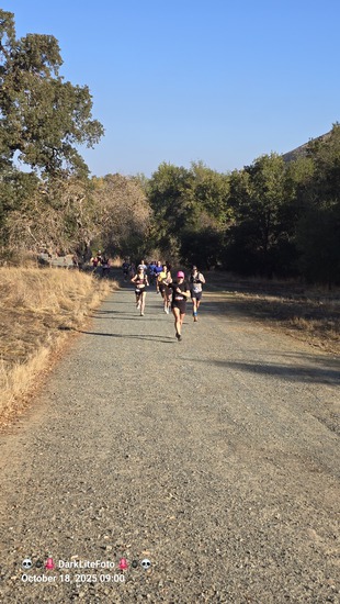View Start Line in new tab
