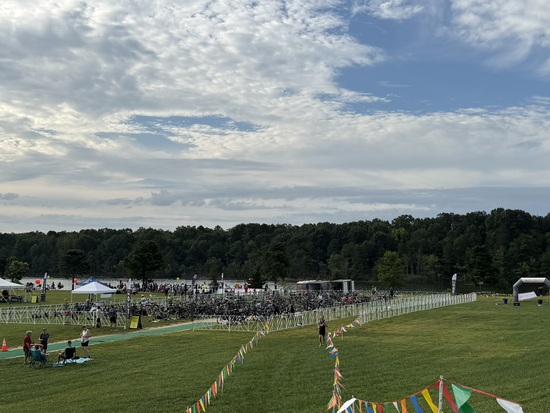 View Race Photos in new tab