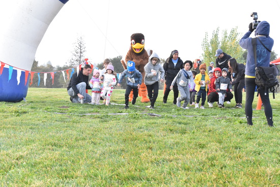 View Little Turkeys - Paparazzi in new tab