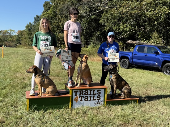 View Awards in new tab