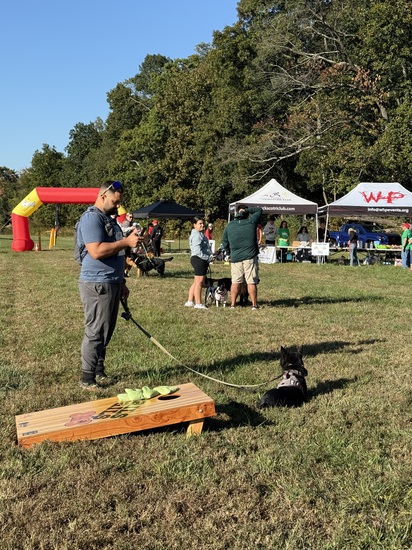 View Misc in new tab