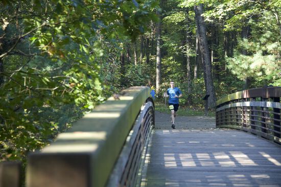 View Bridge 10K in new tab