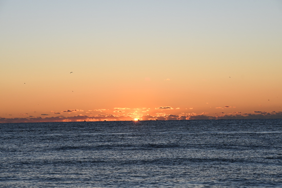 View Race Day 2025 in new tab