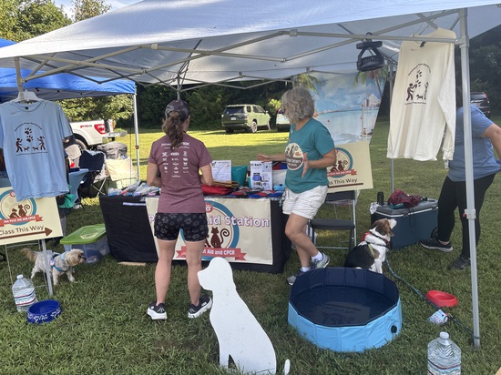 View Pints and Paws 2025 in new tab