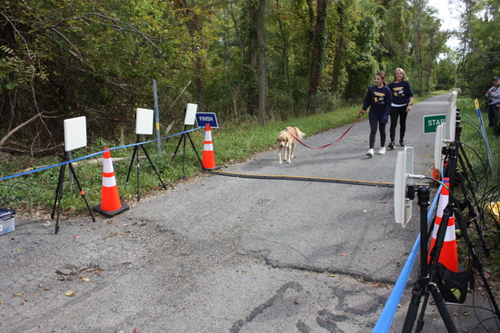 View Start Line in new tab