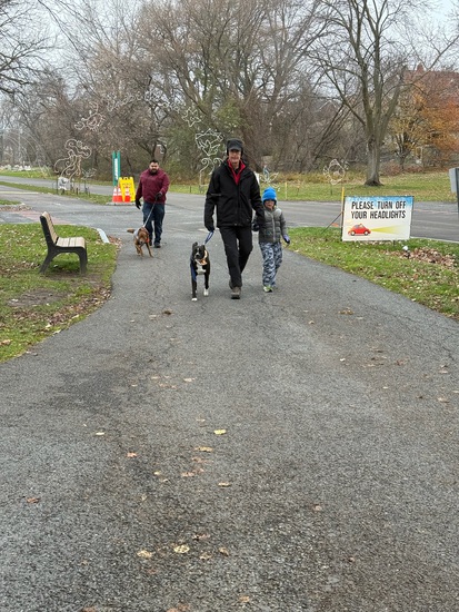 View Dog Walk in new tab